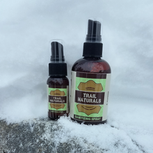 Load image into Gallery viewer, Sanitizing Spray