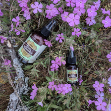 Load image into Gallery viewer, Sanitizing Spray